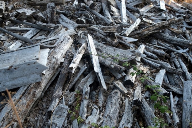 Gestão de Resíduos de Madeira Valores Araras - Gestão de Resíduos