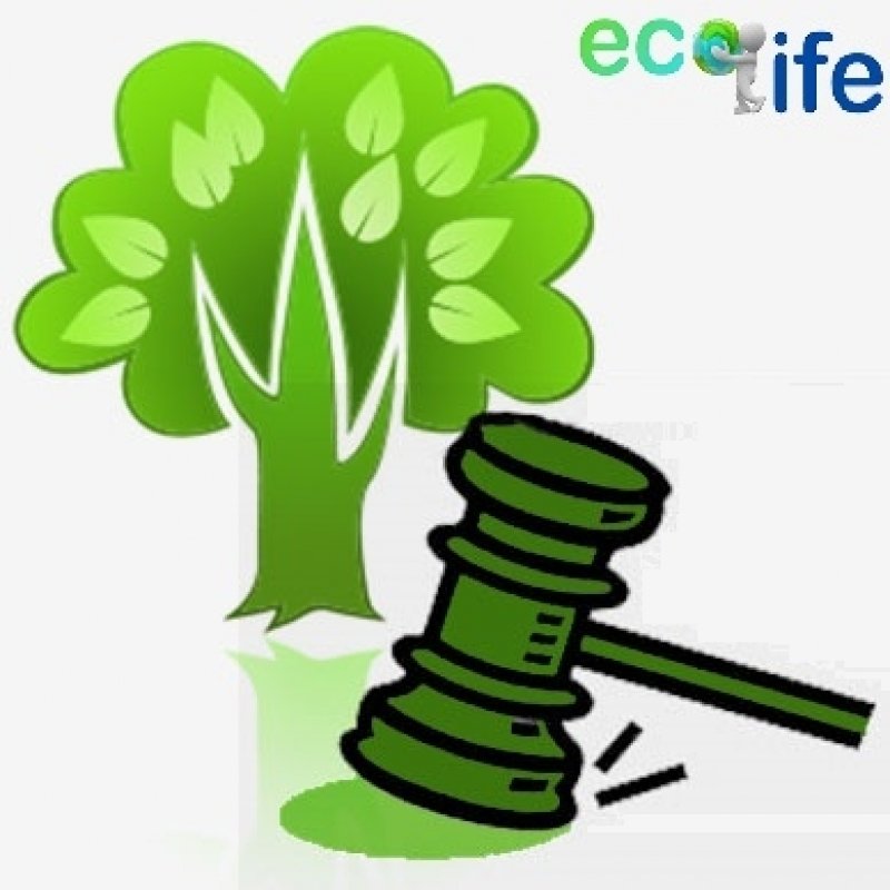 Licença Ambiental Municipal Hortolândia - Licença Ambiental de Regularização