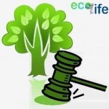 licença de operação direito ambiental Limeira