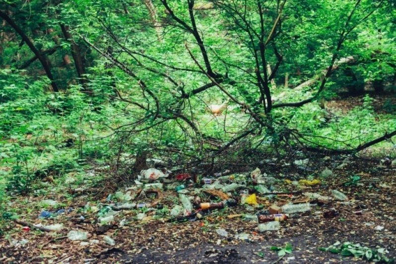 Tratamento de Resíduos Vegetação Avenida Nossa Senhora do Sabará - Tratamento de Resíduos